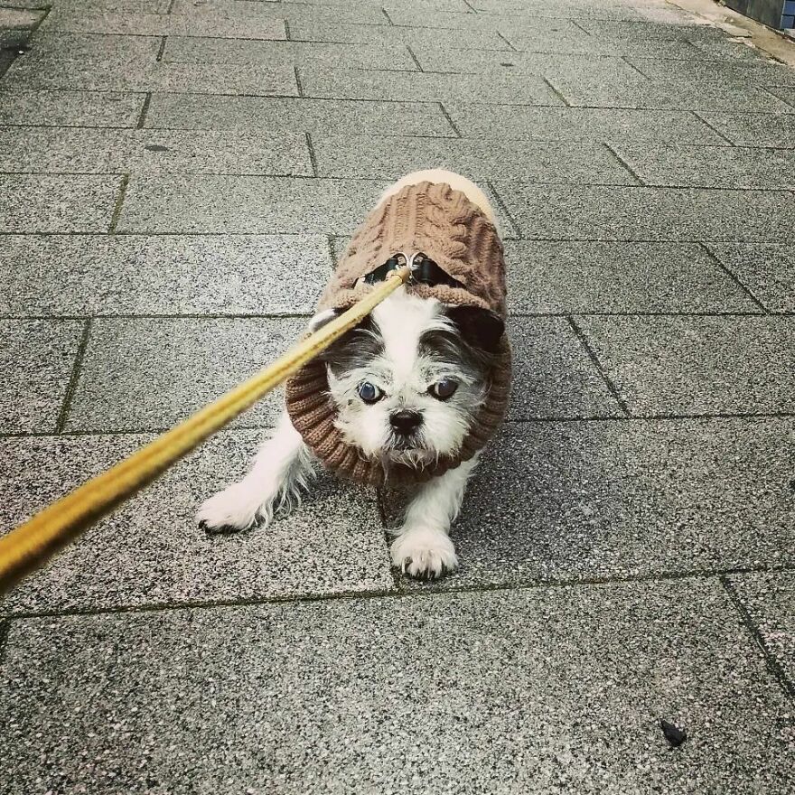 Today's Hirunpo. It Was Snowing And Cold