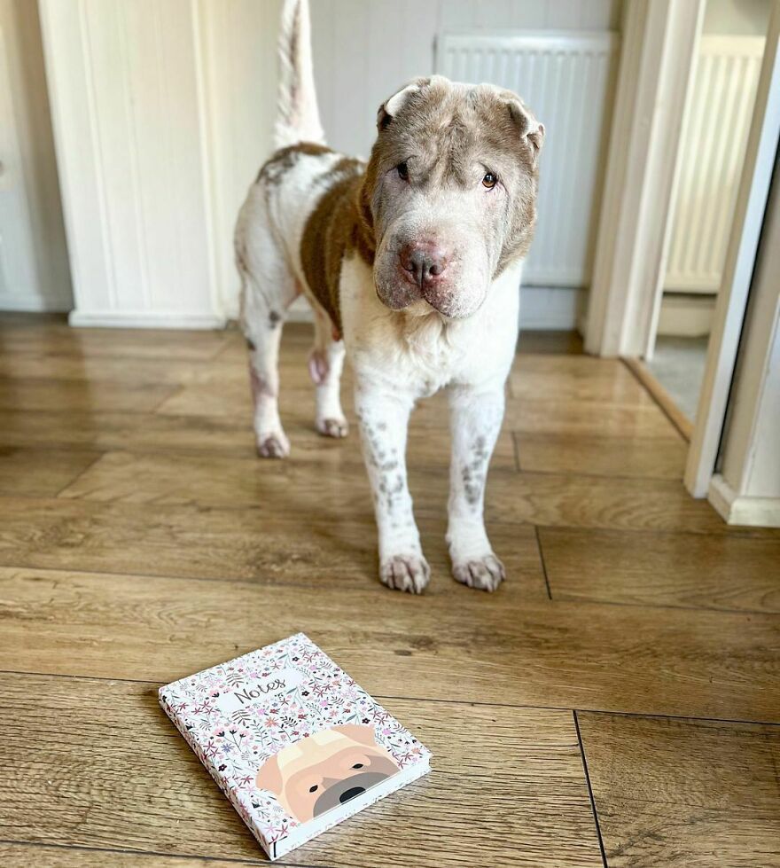 Every Dog Mama Should Have A Notebook With Their Dogs Face On