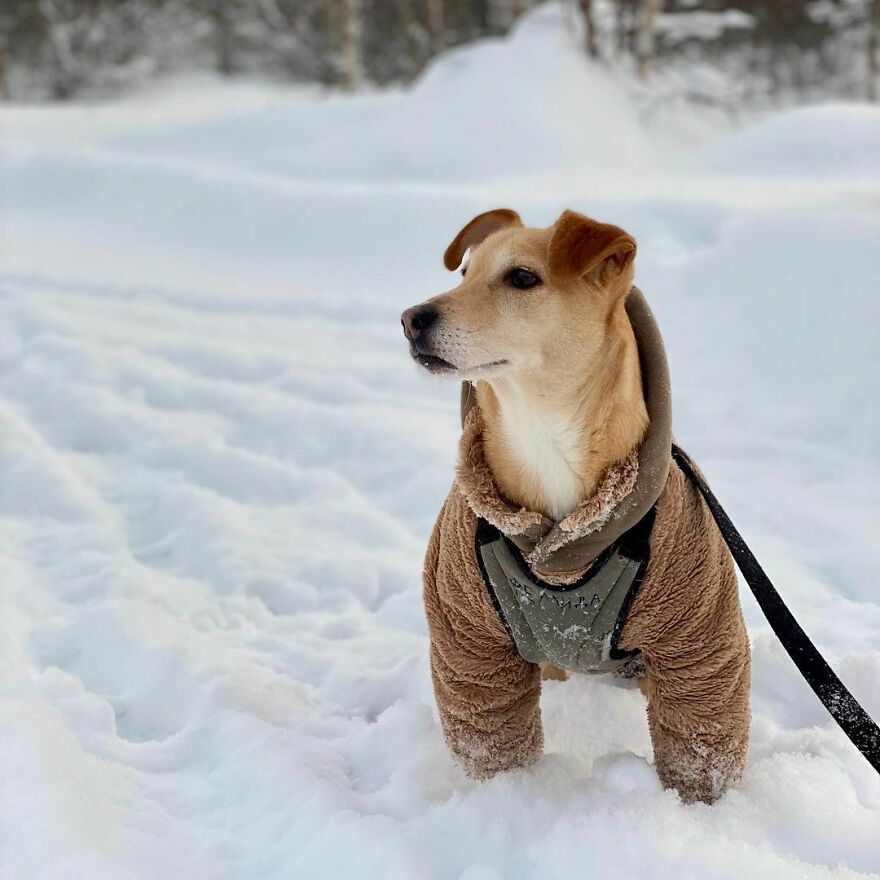 Femida Wishes You A Great Mood!