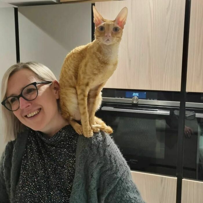 Mummy's Conversation With Daddy Was Super Interesting. Mummy Keeps Telling Me I Am Not A Parrot But I Definitely Think I Am