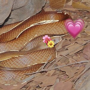 elliewhiting28 avatar