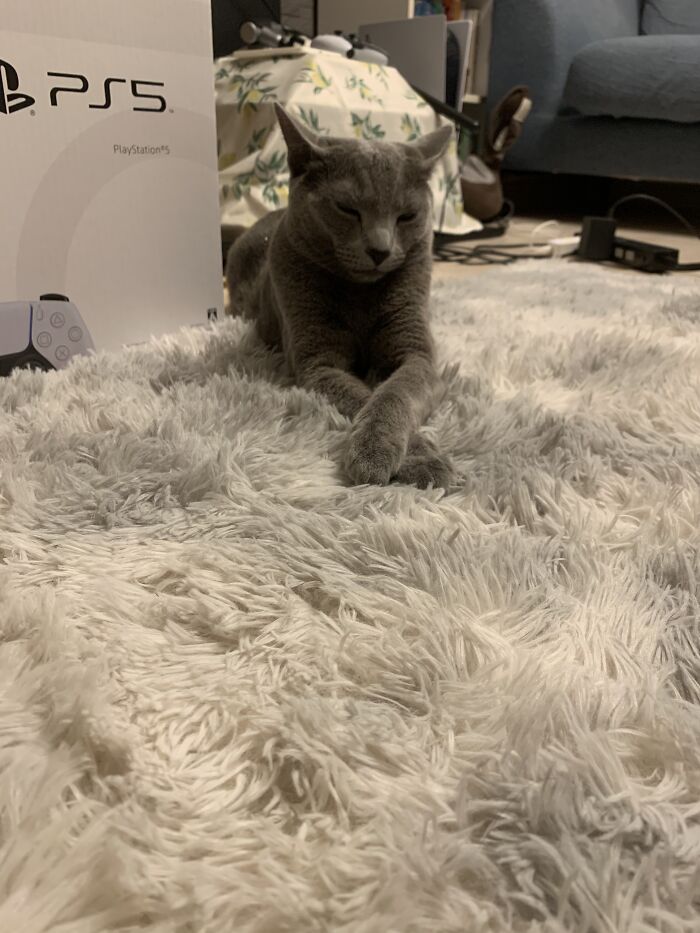 Two Coolest Things- Ps5 And Leo