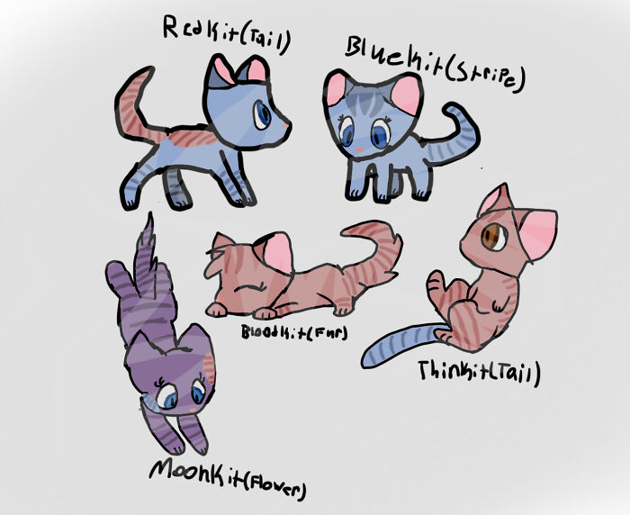 Some Warrior Cats Kits I Made Up