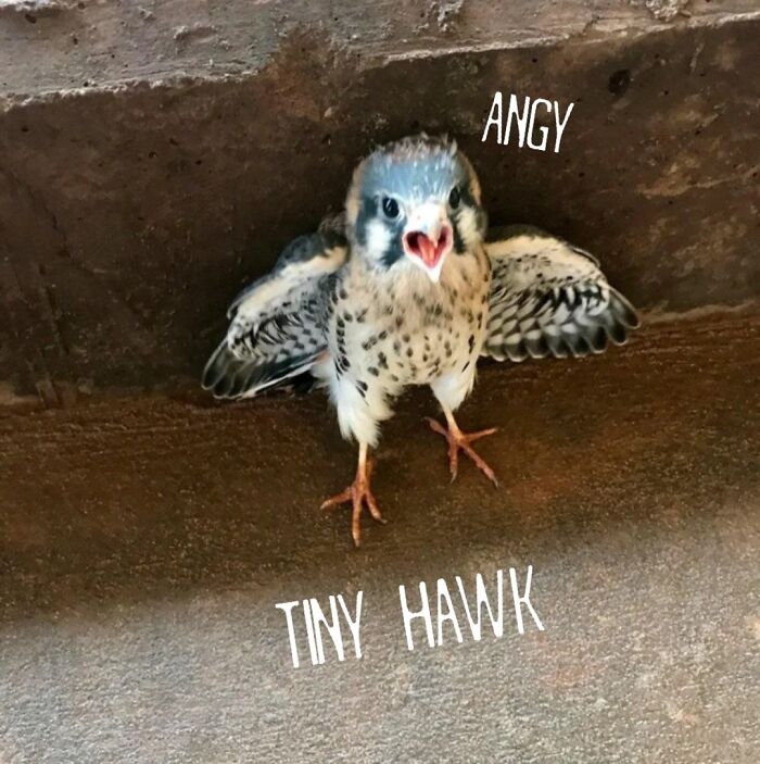 I Found This Photo And It’s Adorable 