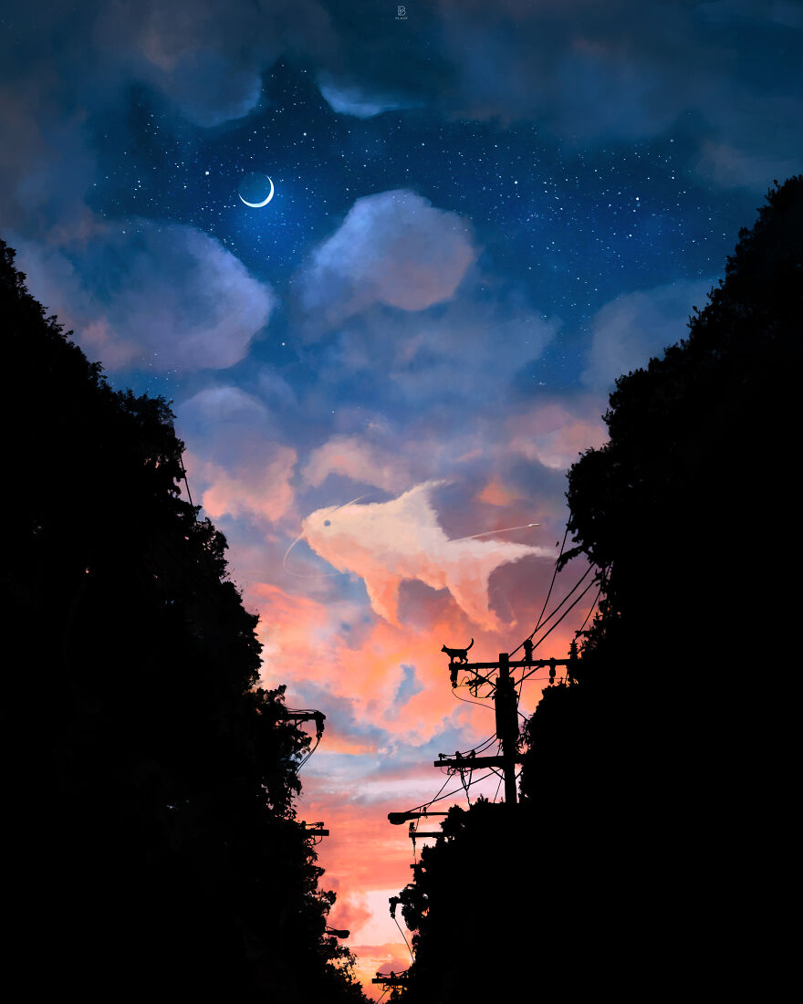 Can You See The Fish?