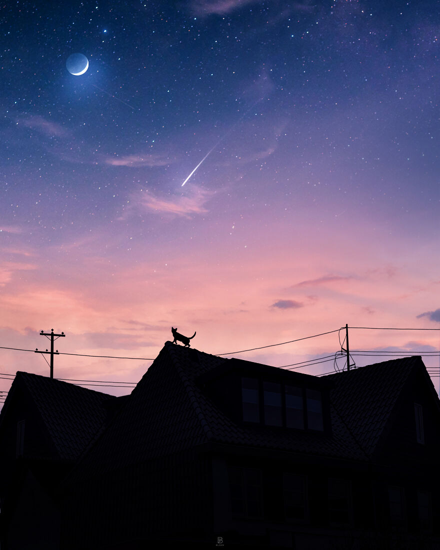 Talking To The Shooting Star