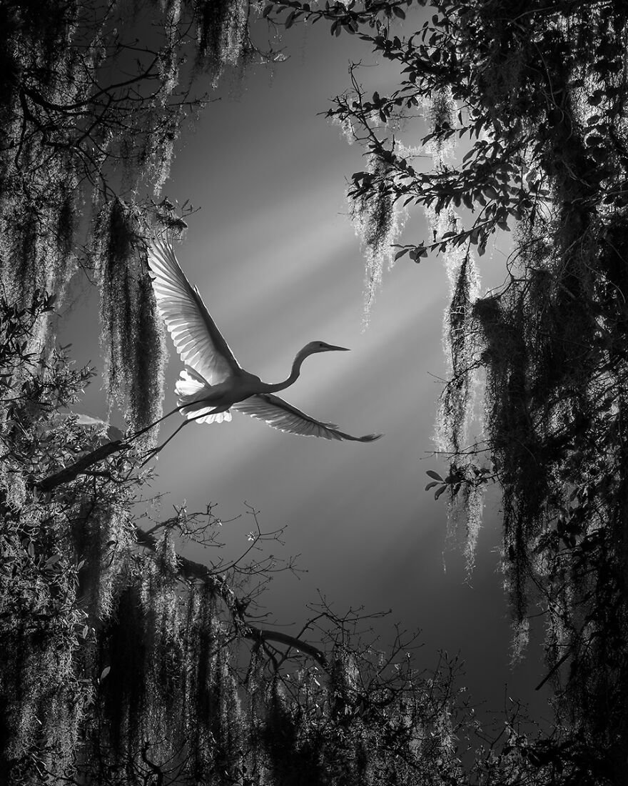 Discover The 10 Images That Won The Independent Photographer's Black And White Photography Contest 2023 Discover The 10 Images That Won The Independent Photographer's Black And White Photography Contest 2023