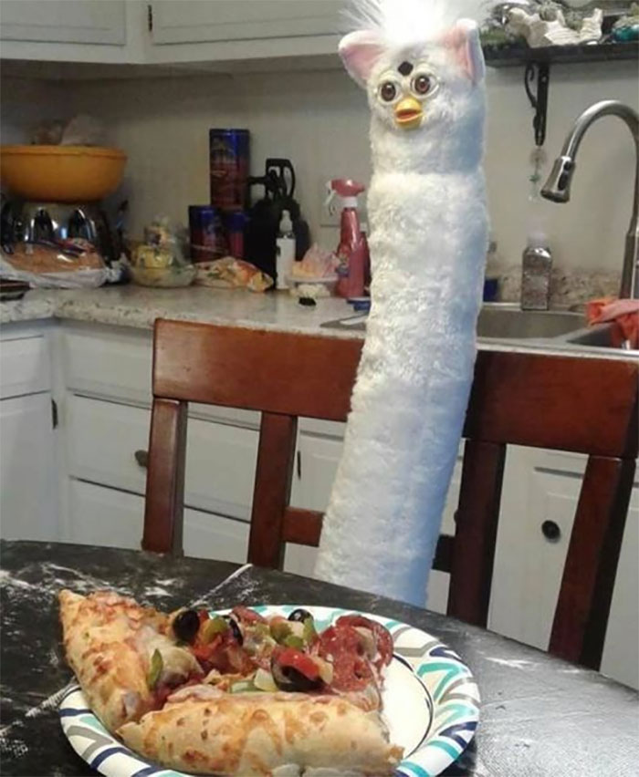 Hey Pandas, Post The Most Cursed Or Out Of Context Photo In Your Camera Roll!