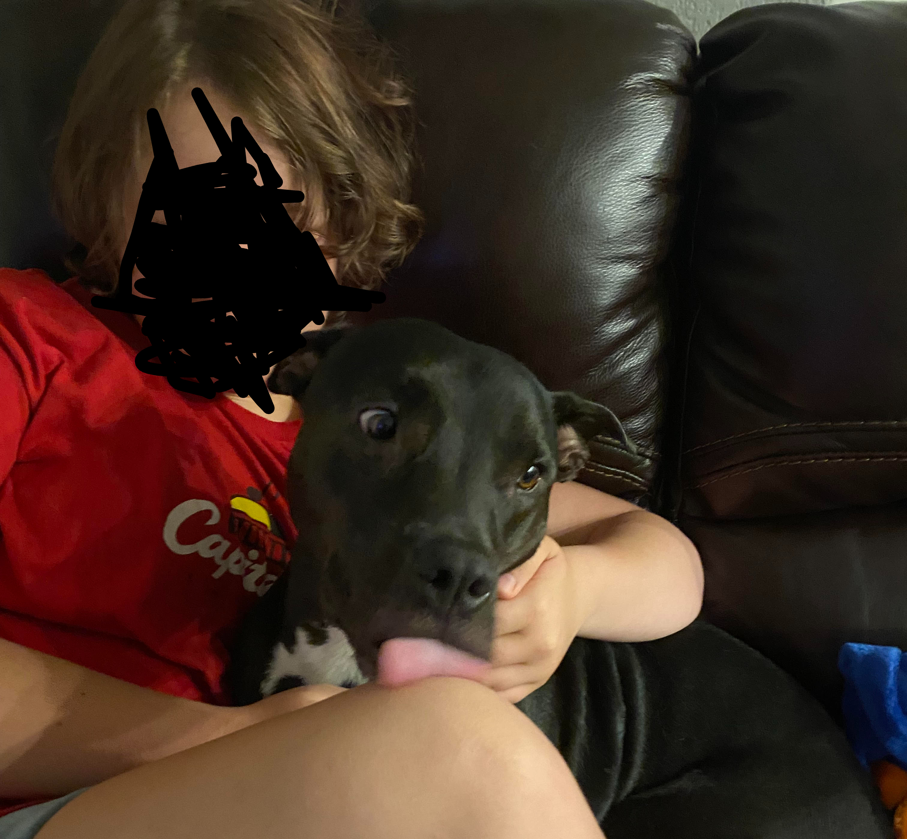 Hey Pandas, Show Us Your Dog Or Cat!