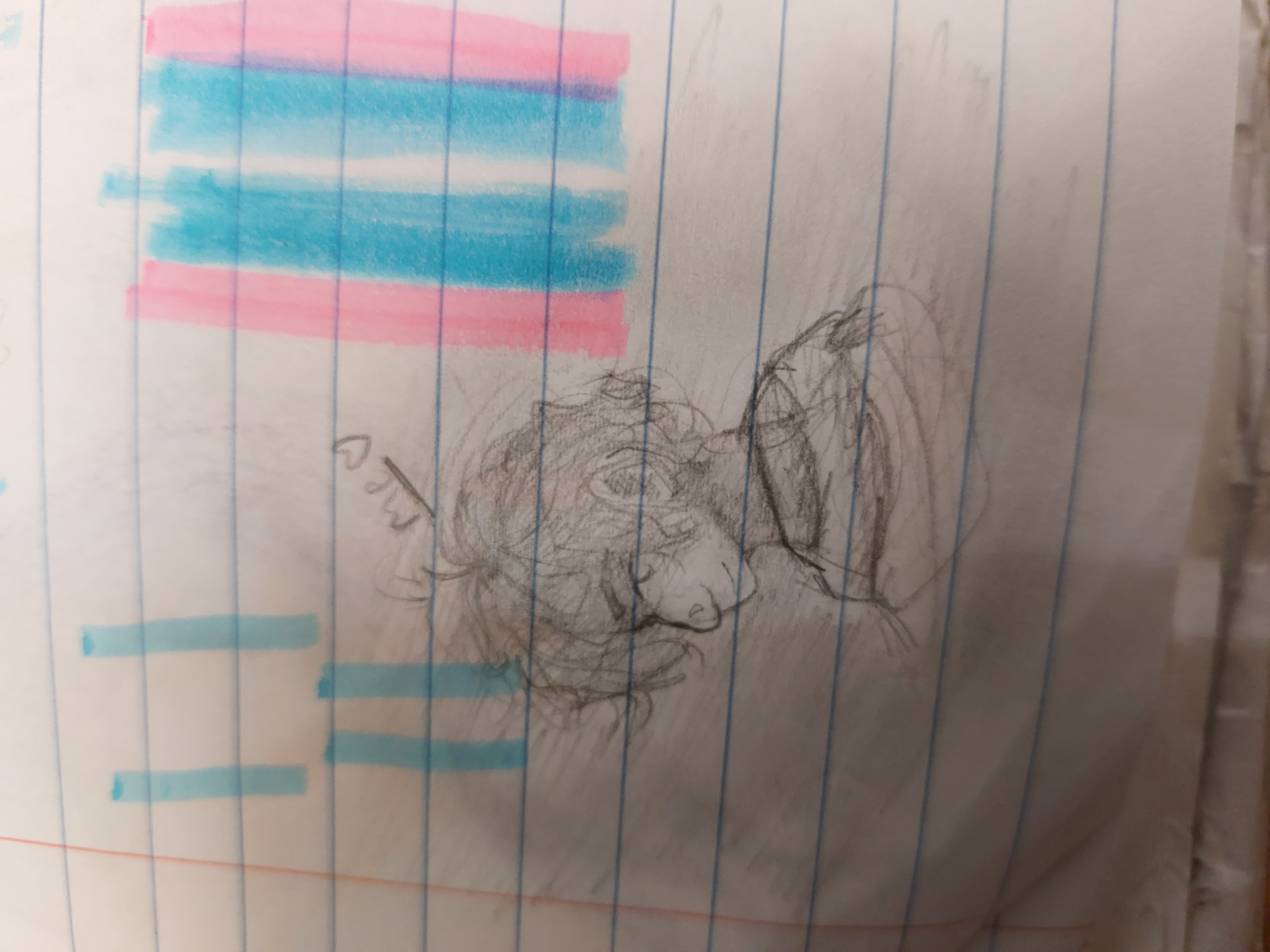 Hey Pandas, Post A Doodle You Made In A School Notebook!