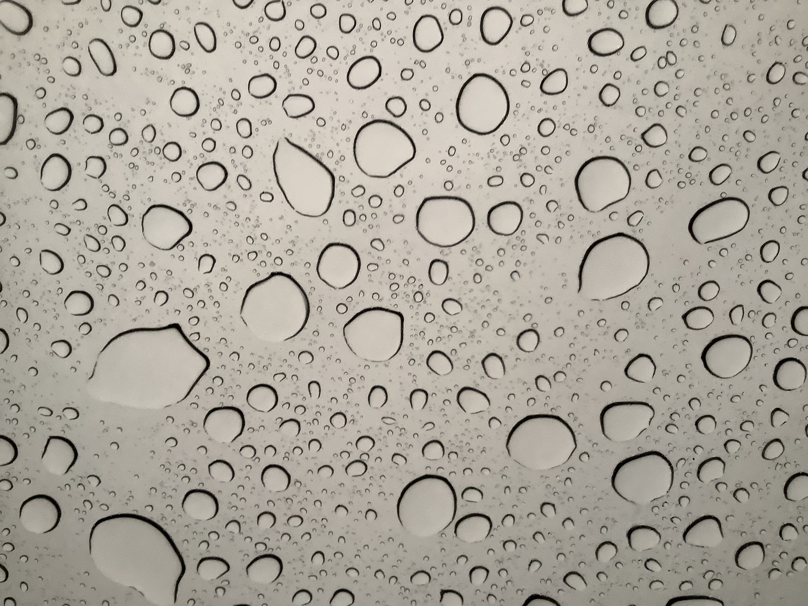 Hey Pandas, Post Your Best Picture Ever Taken!