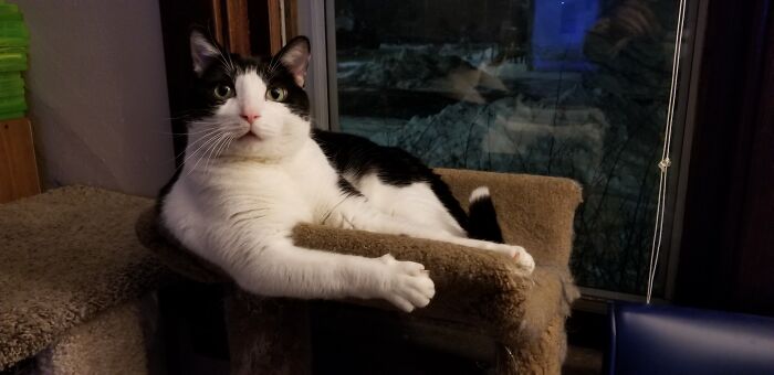 Luna; Aghast, Circa 2022