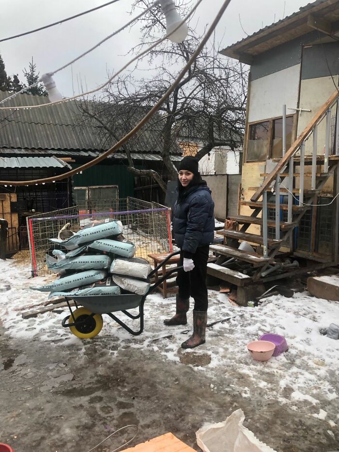 These People In Ukraine Have Dedicated Their Lives To Helping Unfortunate Animals All Across Their Country