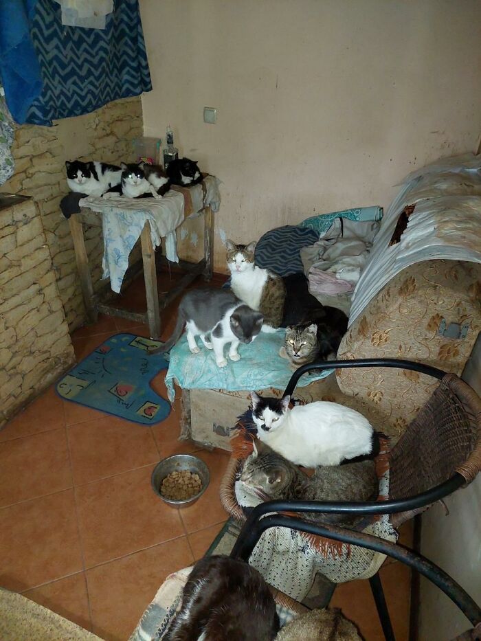 These People In Ukraine Have Dedicated Their Lives To Helping Unfortunate Animals All Across Their Country These People In Ukraine Have Dedicated Their Lives To Helping Unfortunate Animals All Across Their Country