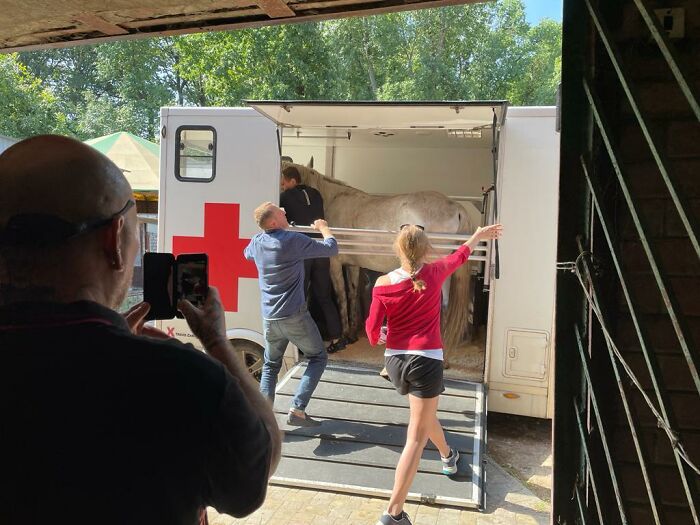 These People In Ukraine Have Dedicated Their Lives To Helping Unfortunate Animals All Across Their Country These People In Ukraine Have Dedicated Their Lives To Helping Unfortunate Animals All Across Their Country