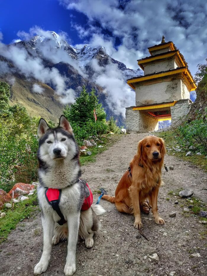 I hiked the Manaslu circuit in Nepal for 18 days with my dog