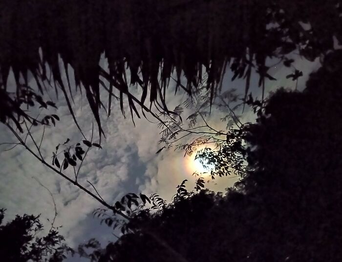 Fullmoon