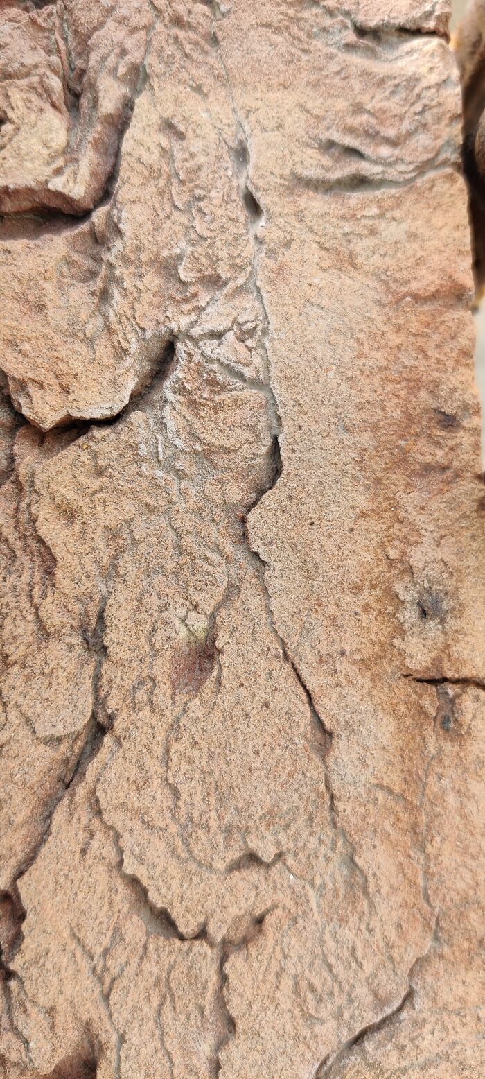 Old Brick Facing Test Of Time And Elements