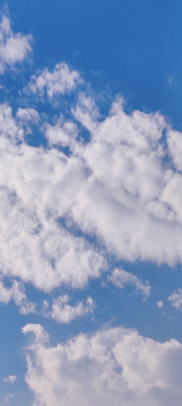 It's Spring Time Here. Sunny But Not Hot. Summer Is Around The Corner