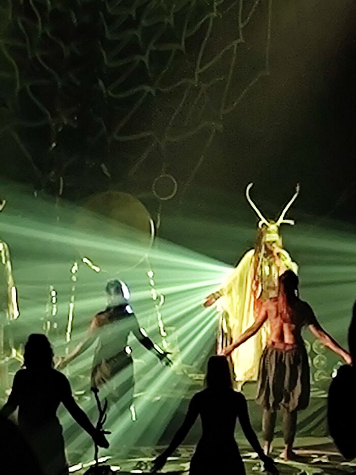 This Heilung Concert I Travelled All Over The Country For To Visit