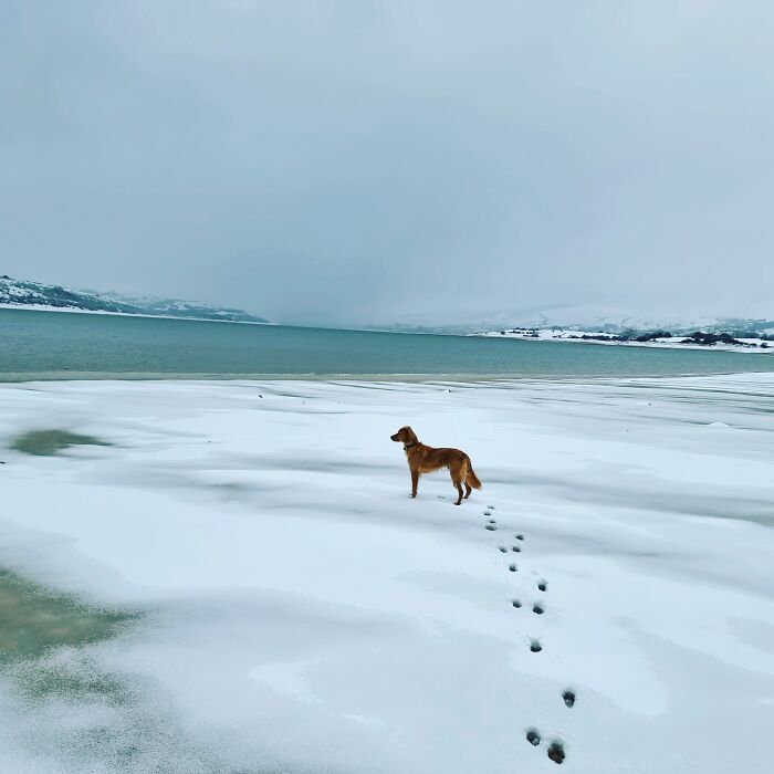 Cantabria, Spain. Minus 6 Degrees This Morning!