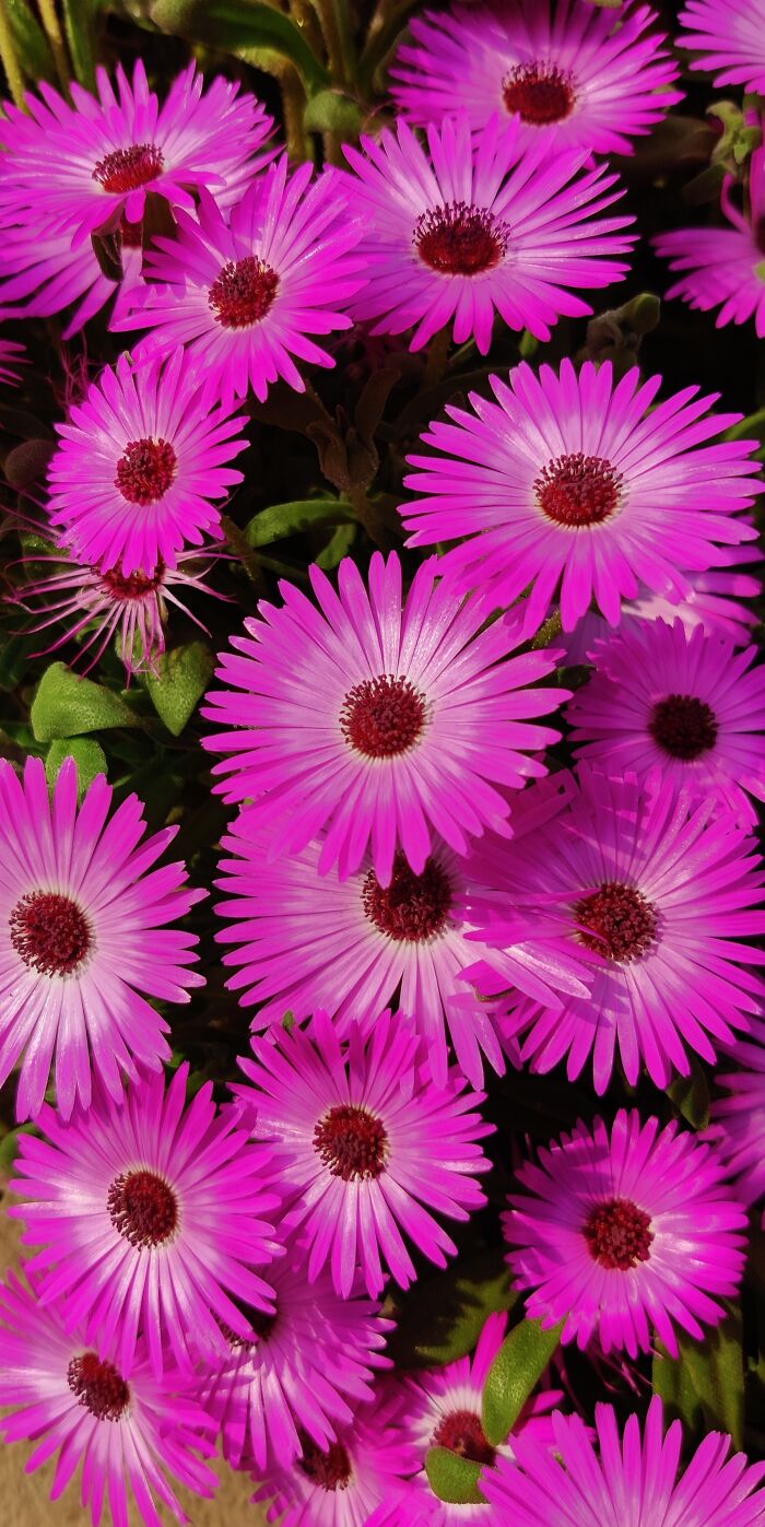 Spring Is Here Finally 😊