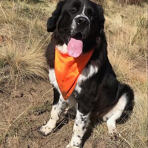 paul_sanders001 avatar