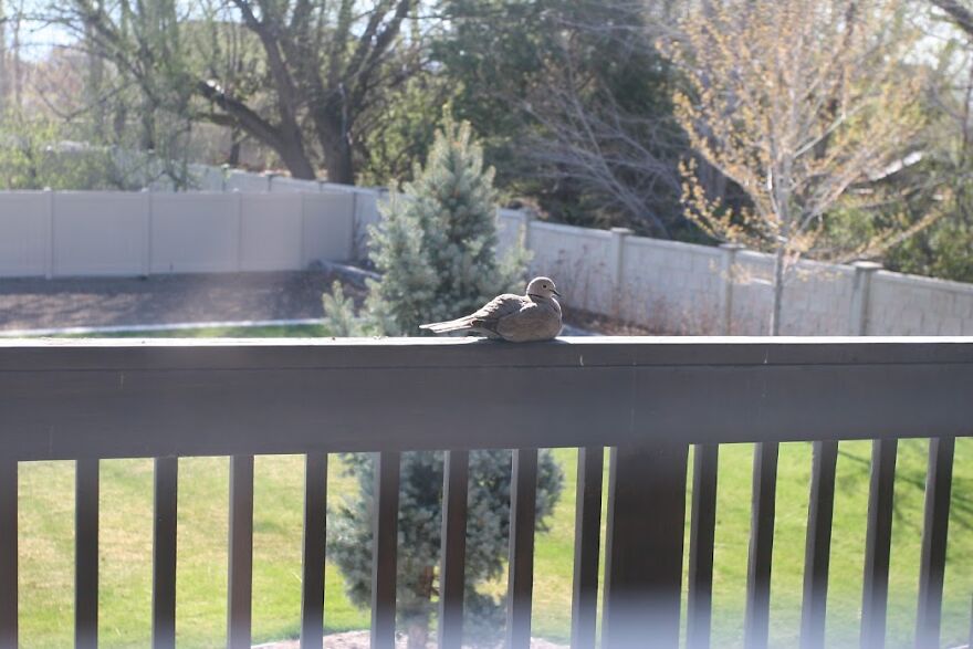 I've Got Quite A Few, It Was Really Hard To Choose, But Here's One Of My Many Great Photos (I Took Photography As A Class, And Have Some Amazing Ones)