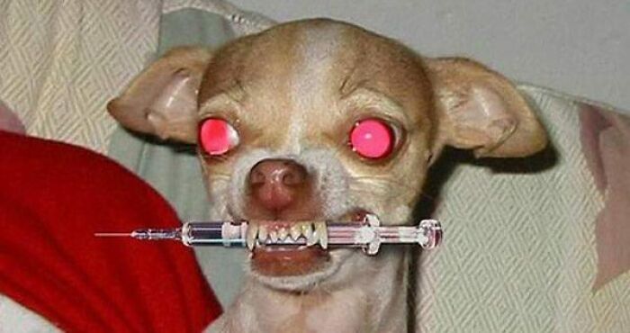 25 Images That I Found Clearing My Drive