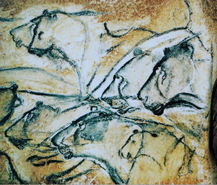 Chauvet Cave Paintings In France. About 36000 Years Old