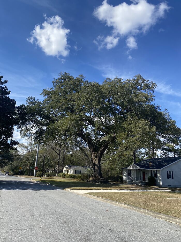 Savannah, Georgia, USA