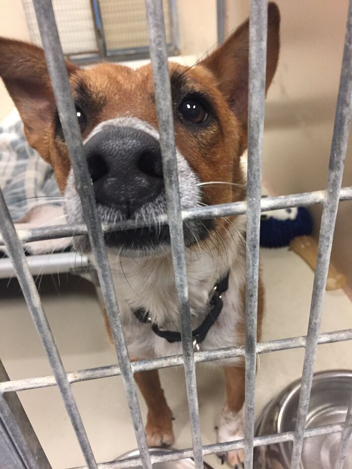 Maggie Before & After