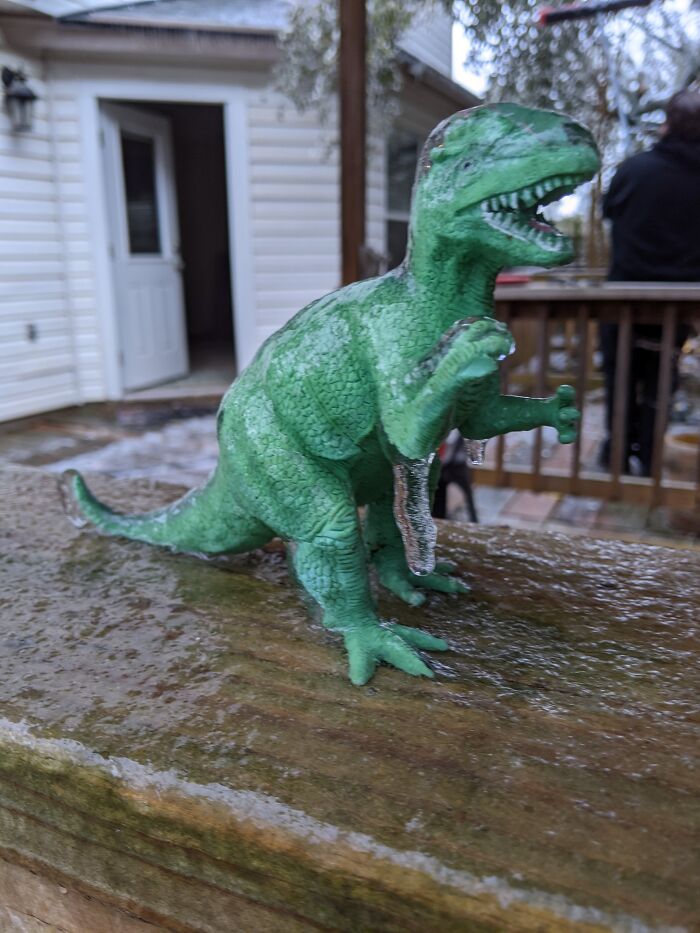 Ice Dino From Tx Freeze