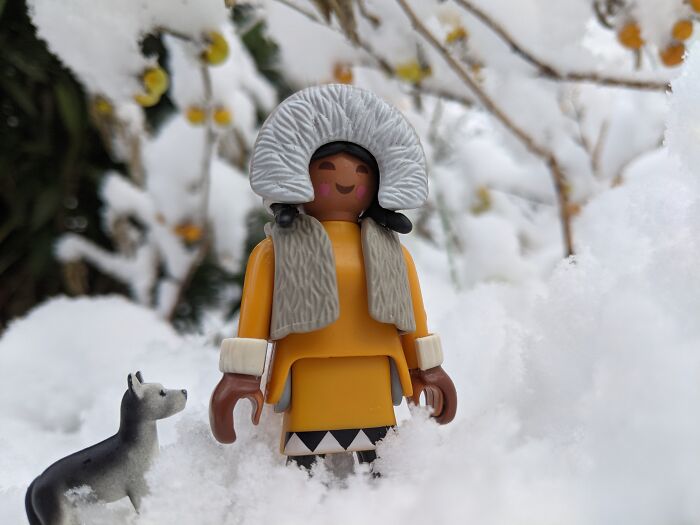 Playmobile Inuit Girl Enjoys The Snow With Her Dog Botticelli