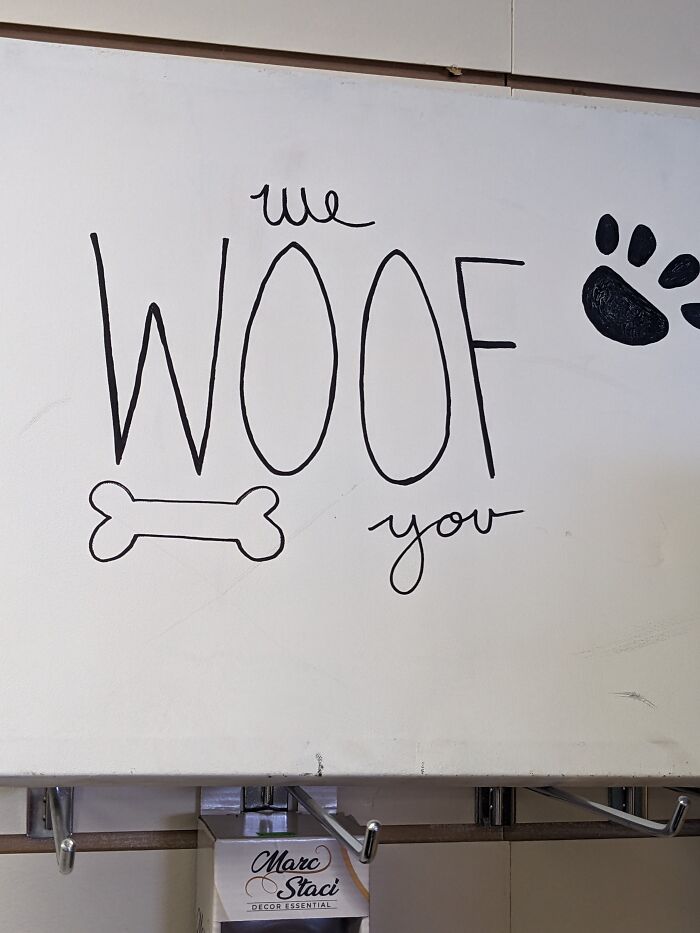 This Is At A Thrift Store. Little Wonder