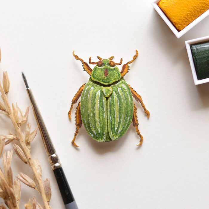Glorious Scarab Beetle