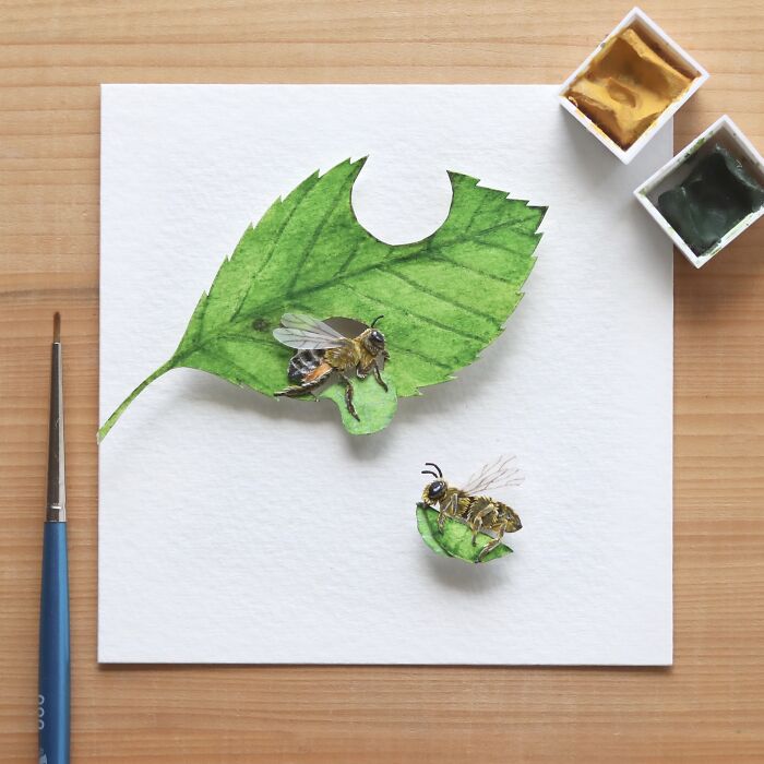Leaf Cutter Bee