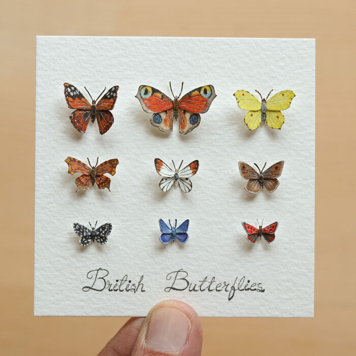 British Butterfly