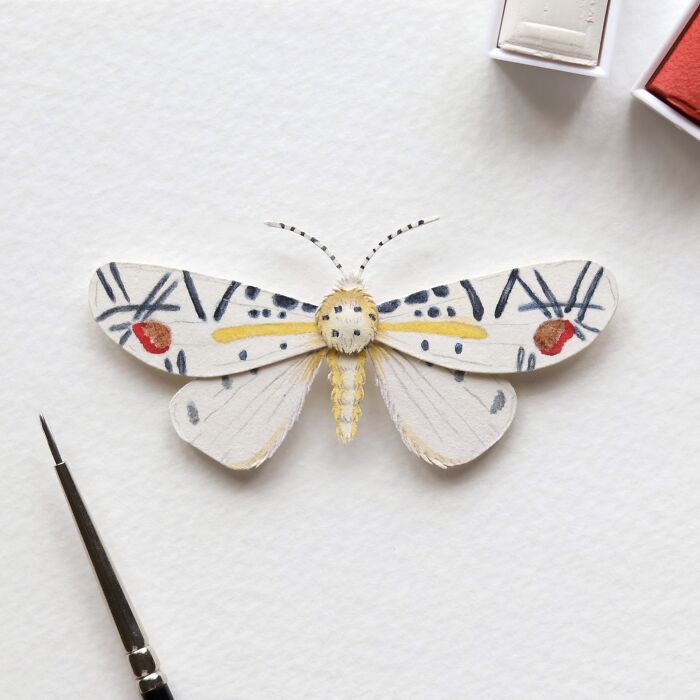 Picasso Moth