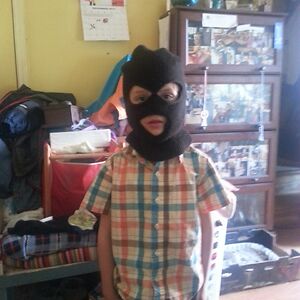 clovercalicocat avatar