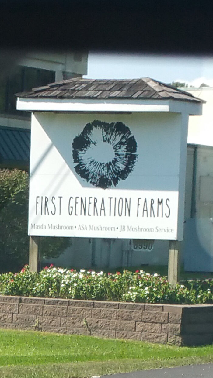 This Great Sign For A Mushroom Farm