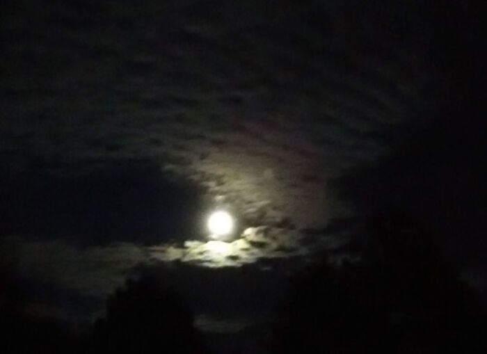 "Accidental Masterpieces"