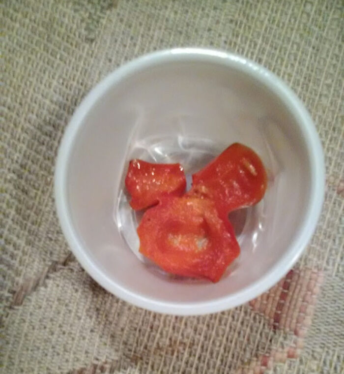 "Accidental Masterpieces"