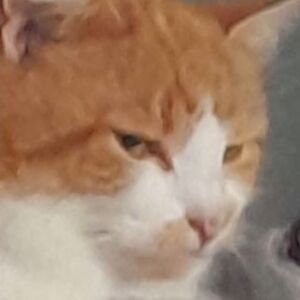 paula-franken avatar