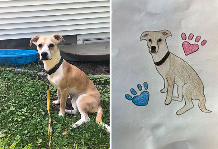 Shelter Raises Funds Through Bad Pet Drawings