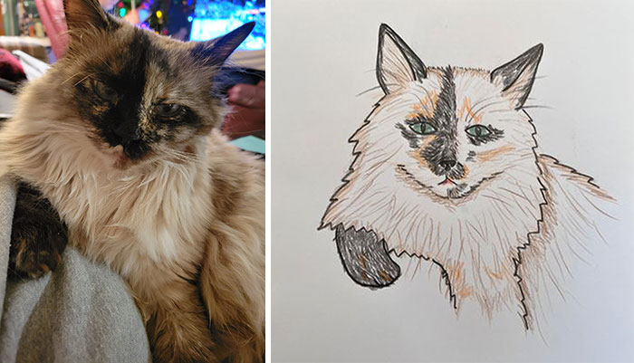 Shelter Raises Funds Through Bad Pet Drawings
