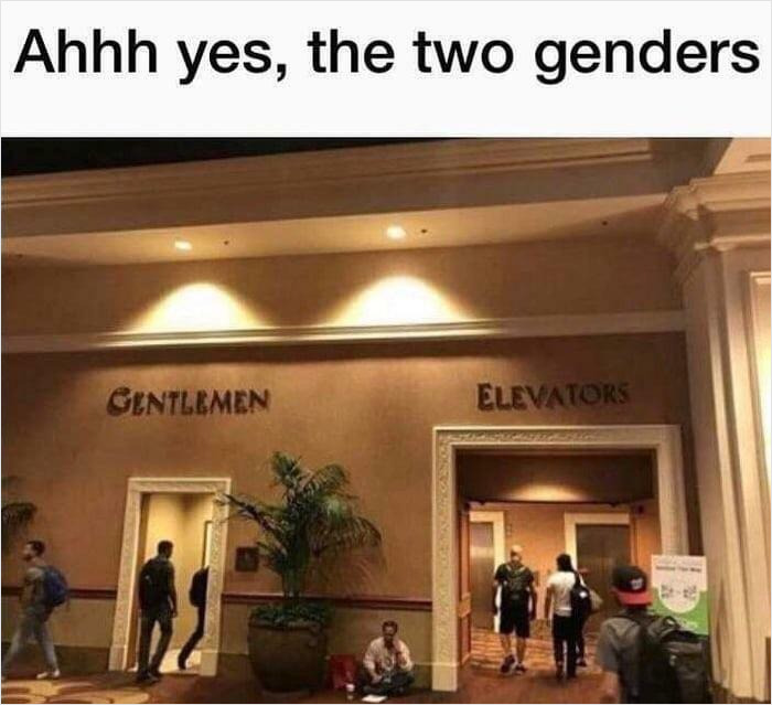 Binary Gender