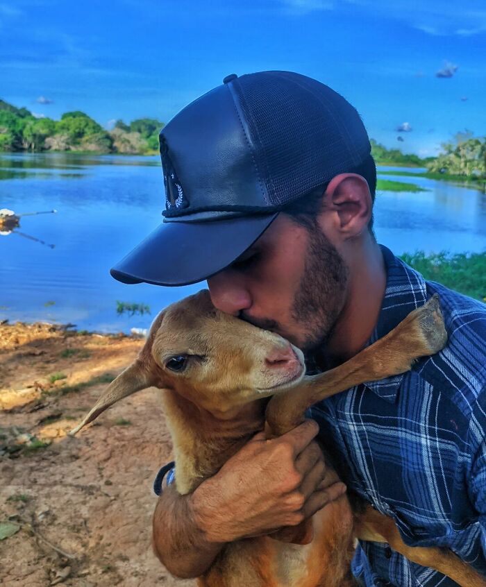 This Man From Brazil Who Lives On A Farm Shares A Beautiful Bond With A Rescued Capybara This Man From Brazil Who Lives On A Farm Shares A Beautiful Bond With A Rescued Capybara