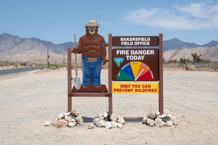 Smokey Bear By Forest Fire Awareness & Prevention