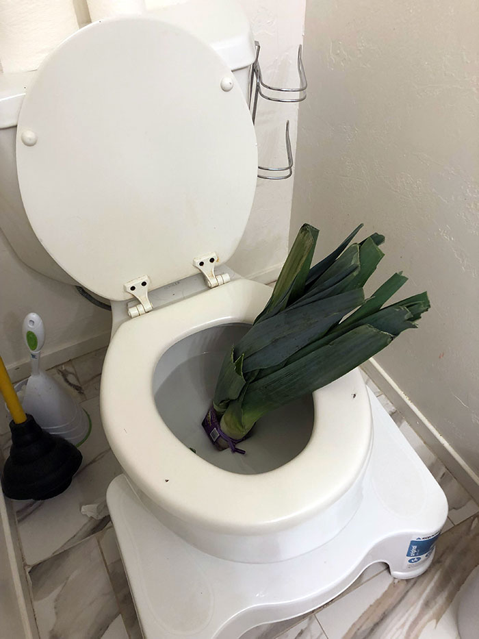 I Told My Husband That Toilet Had A Leak In It. But It Was Just A Leek